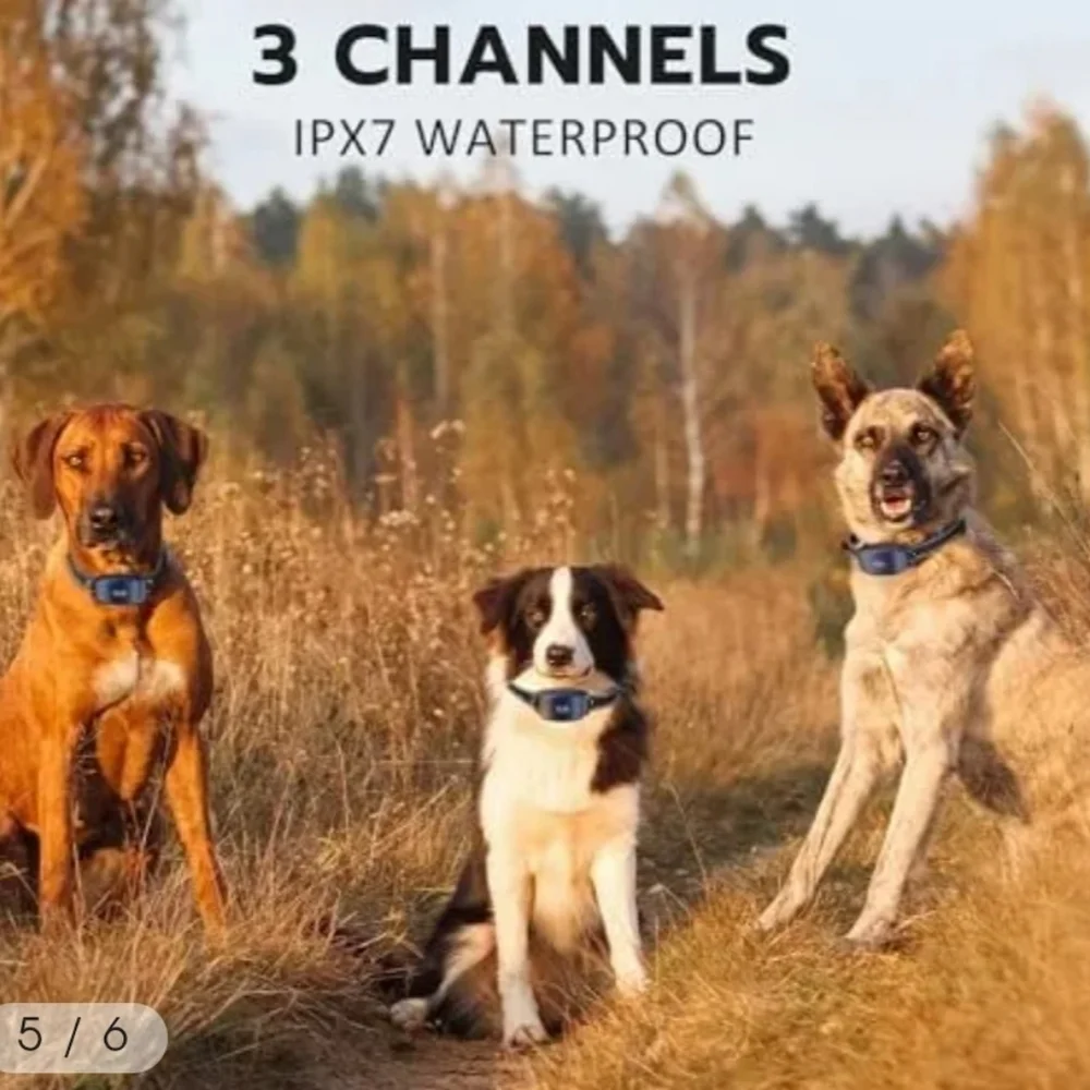Hometails Dog Training Collar